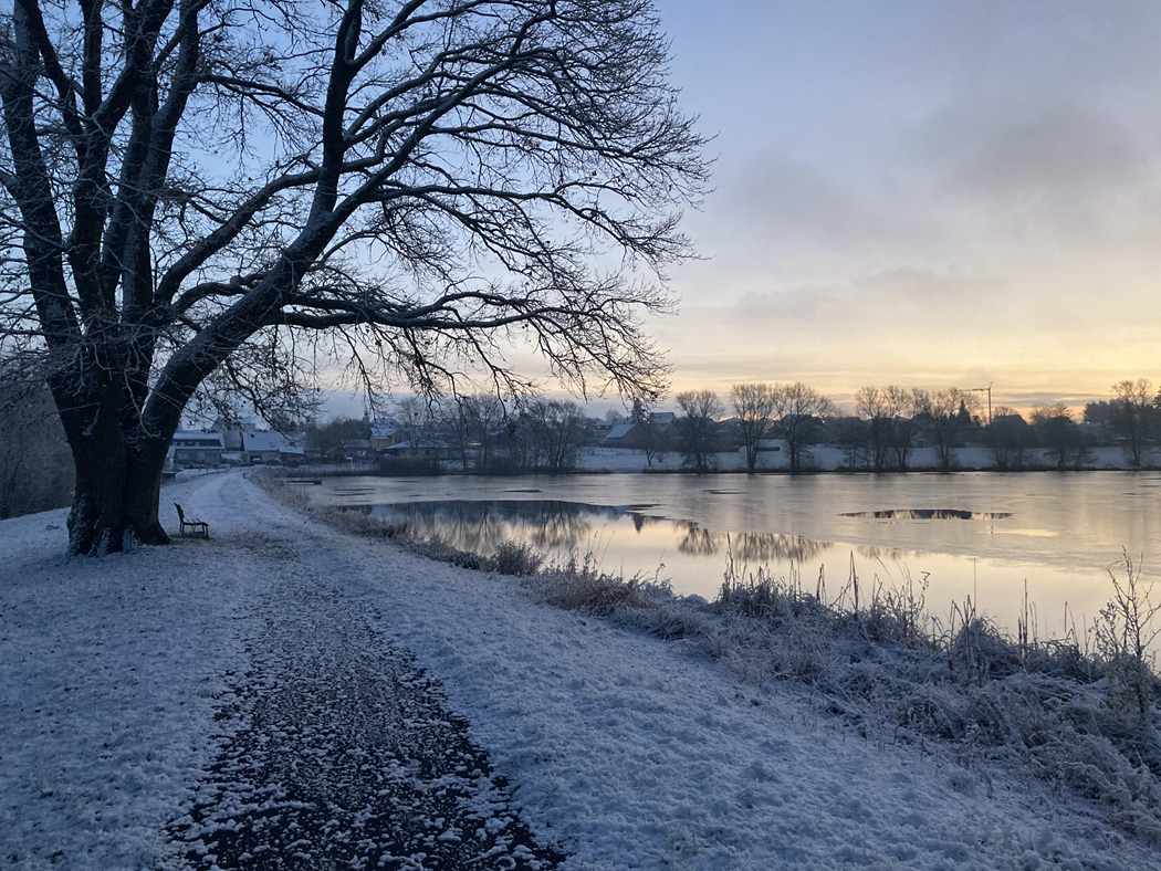 Bild zu Newsletter 03-2021